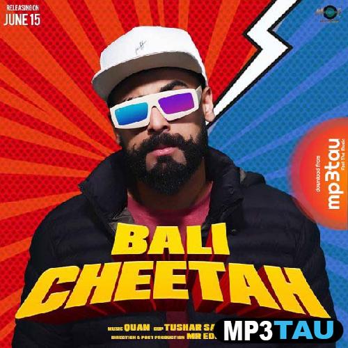 Cheetah Bali mp3 song lyrics
