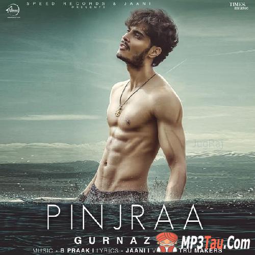 Pinjra Gurnazar mp3 song lyrics