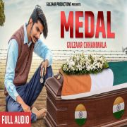 Medal Gulzaar Chhaniwala mp3 song lyrics