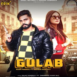 download Gulab Maan Pandrali mp3