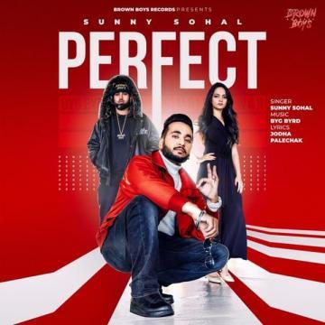 download Perfect Sunny Sohal mp3