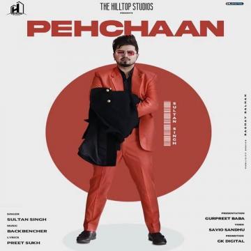 download Pehchaan Sultan Singh mp3